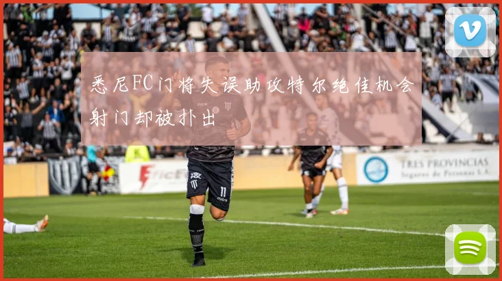 悉尼FC门将失误助攻特尔绝佳机会射门却被扑出